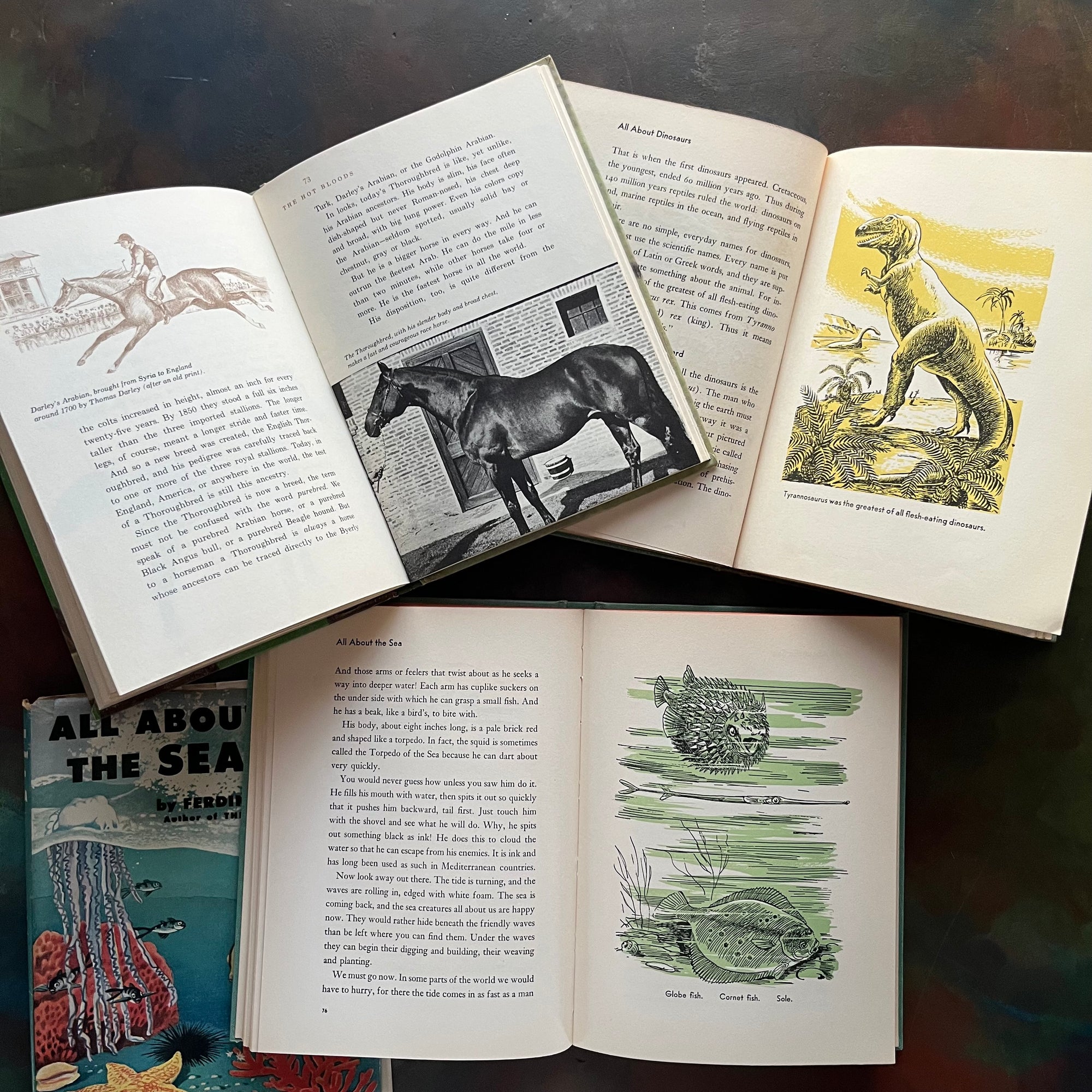 Set of Three All About Books-All About Horses-All About Dinosaurs-All About The Sea-science books for kids-vintage books for children-view of the illustrations