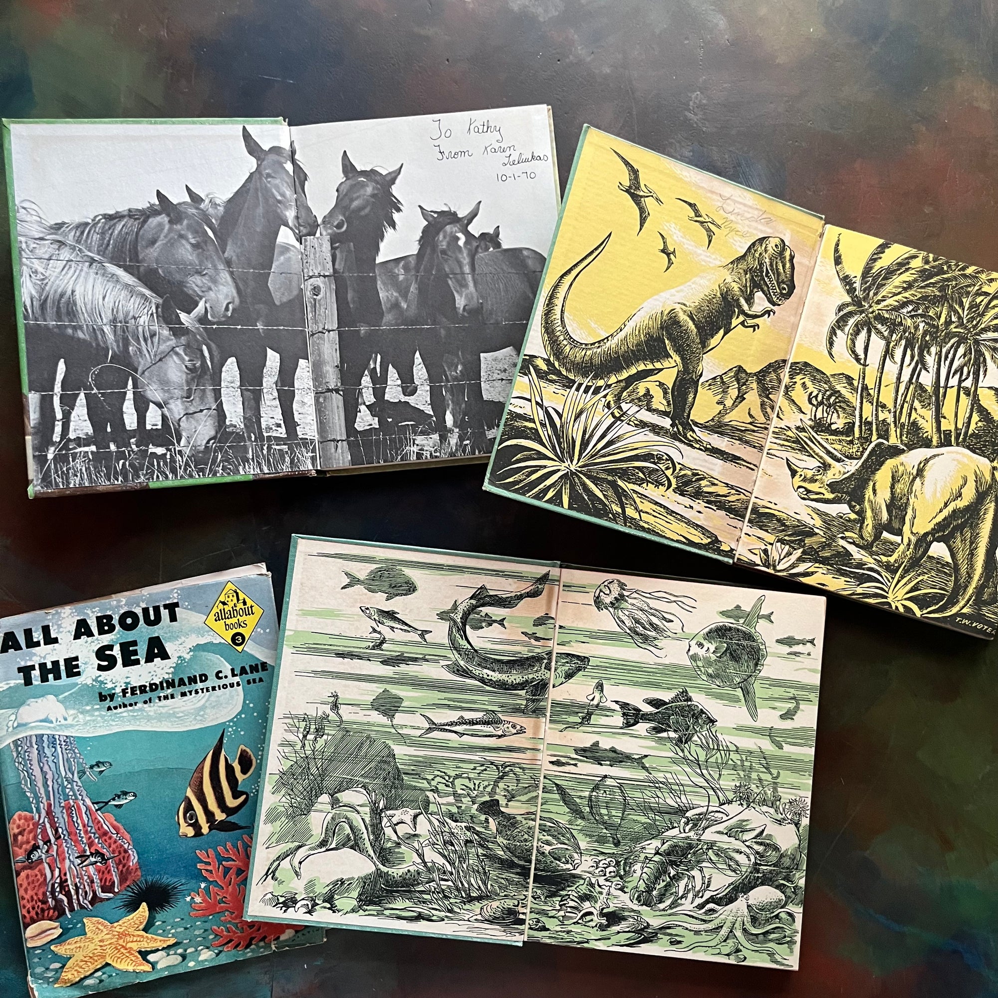 Set of Three All About Books-All About Horses-All About Dinosaurs-All About The Sea-science books for kids-vintage books for children-view of the inside covers