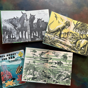 Set of Three All About Books-All About Horses-All About Dinosaurs-All About The Sea-science books for kids-vintage books for children-view of the inside covers