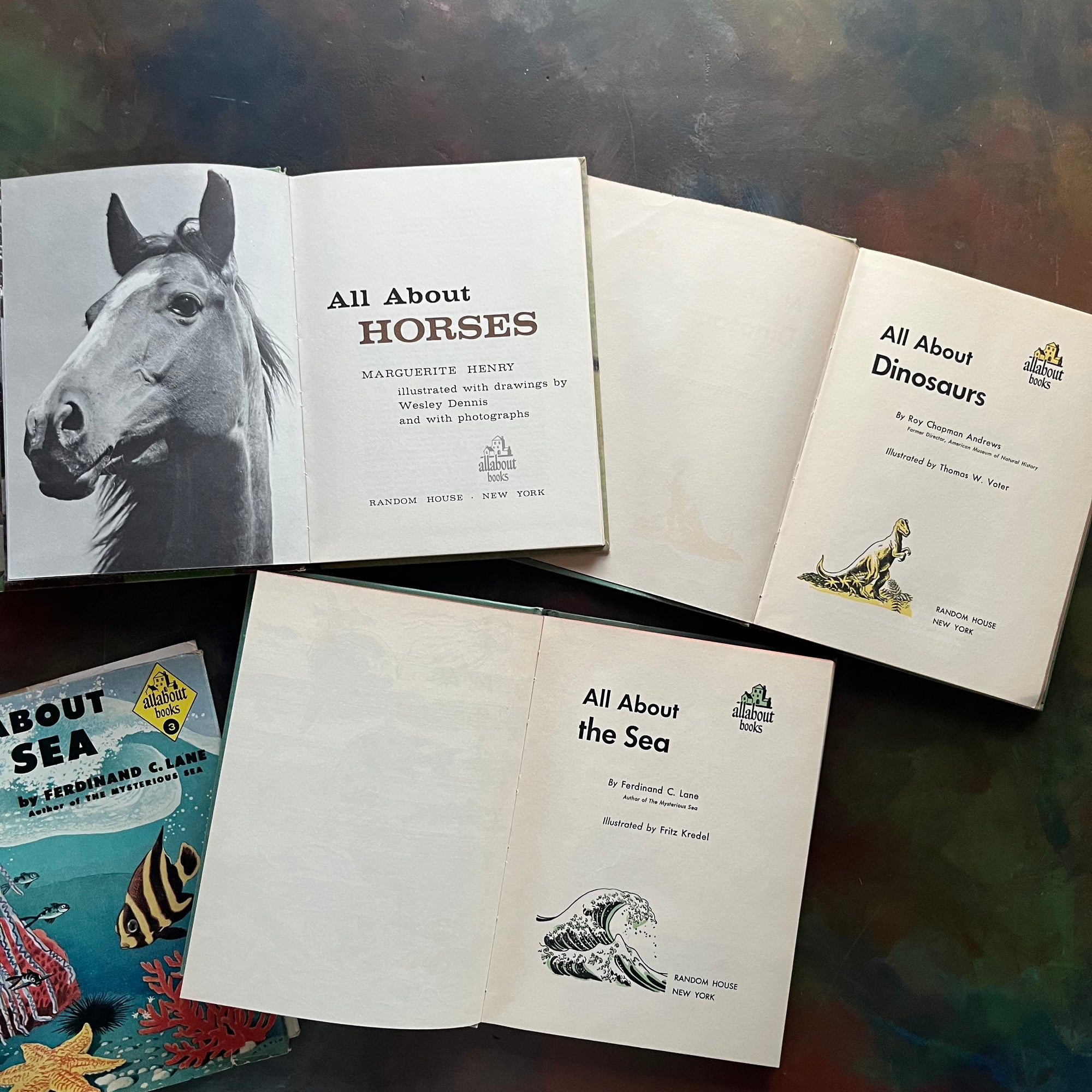 Set of Three All About Books-All About Horses-All About Dinosaurs-All About The Sea-science books for kids-vintage books for children-view of the title pages
