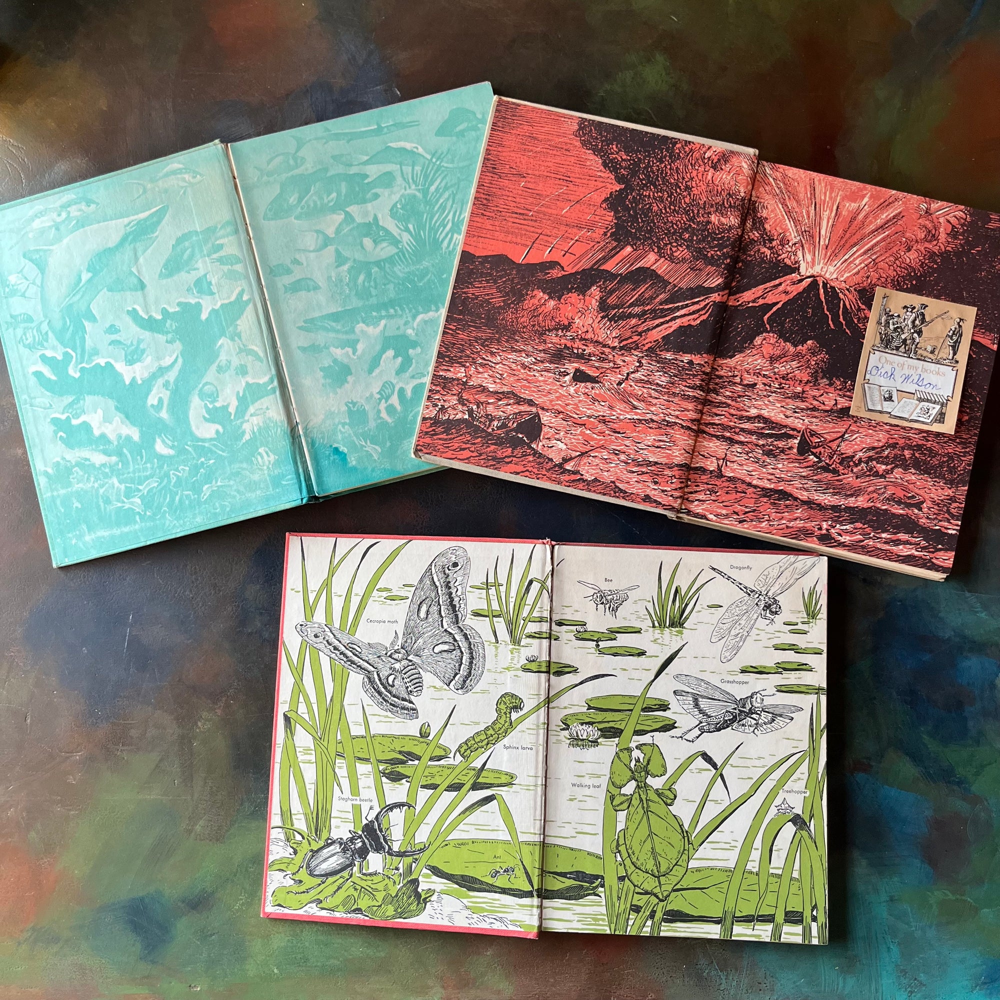 Set of Three All About Books- Volcanoes and Earthquakes-Fish-The Insect World-vintage living science books for children-vintage children's nature books-view of the inside covers