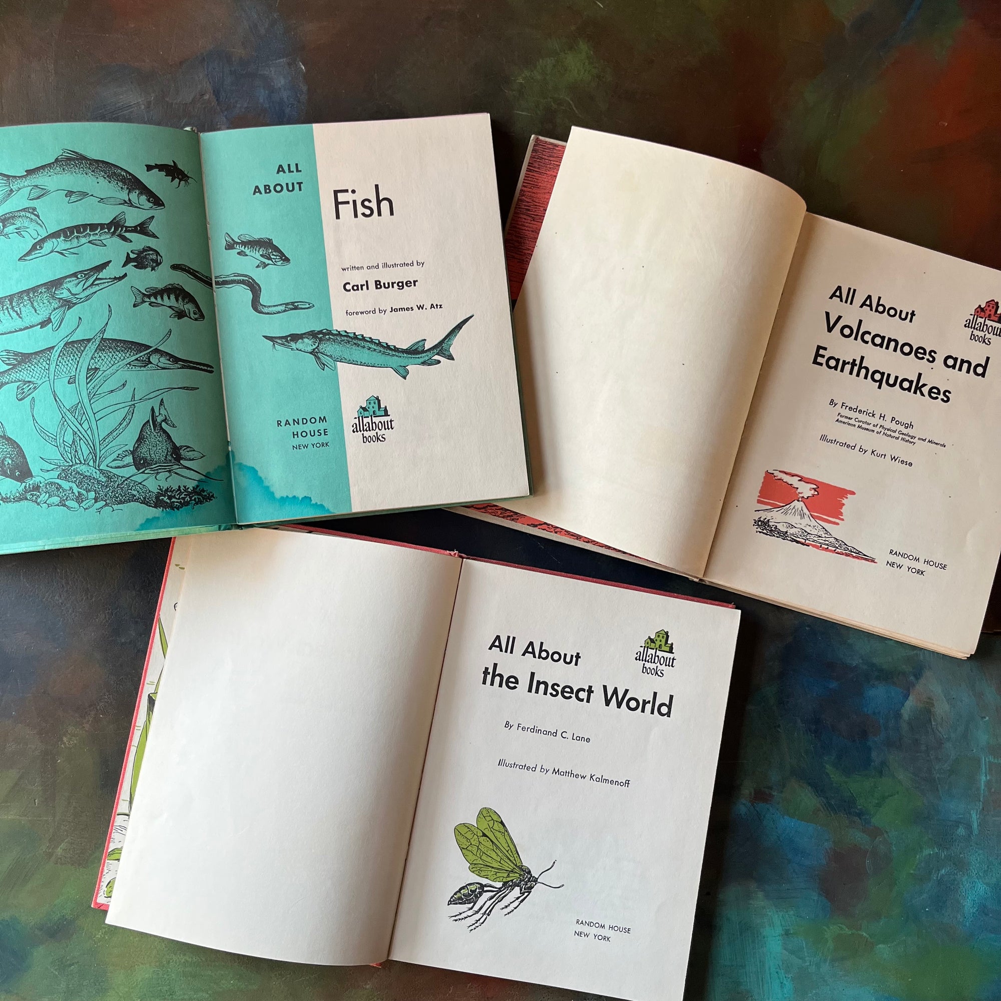 Set of Three All About Books- Volcanoes and Earthquakes-Fish-The Insect World-vintage living science books for children-vintage children's nature books-view of the title pages