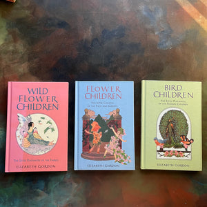 Set of Three Elizabeth Gordon Books-Flower Children-Wild Flower Children-Bird Children-nature books for kids-view of the front covers