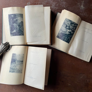 Set of Three James Whitcomb Riley Books:  Sketches in Prose, Neighborly Poems, and Armazindy - view of the illustrations opposite the title pages
