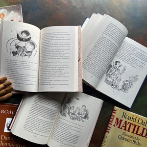 Set of Three Roald Dahl Books-Matilda-James and the Giant Peach-Danny the Champion of the World-children's chapter books-view of the illustrations