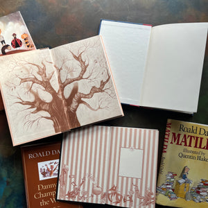 Set of Three Roald Dahl Books-Matilda-James and the Giant Peach-Danny the Champion of the World-children's chapter books-view of the inside covers
