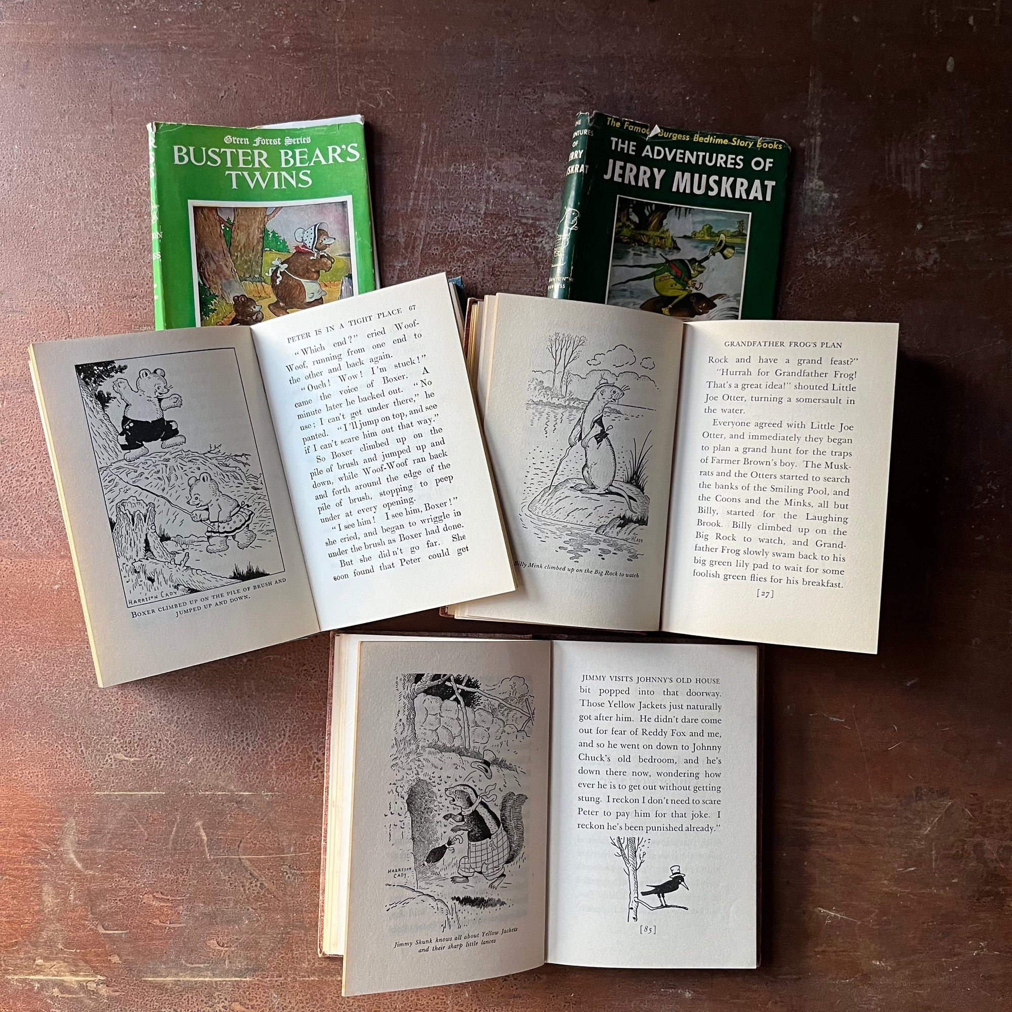 vintage children's chapter books, antiquarian books for children - Set of Three Thorton W. Burgess Books:  Buster Bears Twins, The Adventures of Jerry Muskrat, and The Adventures of Jimmy Skunk all illustrated by Harrison Cady - view of the illustrations