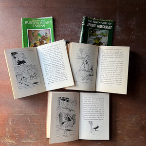 vintage children's chapter books, antiquarian books for children - Set of Three Thorton W. Burgess Books:  Buster Bears Twins, The Adventures of Jerry Muskrat, and The Adventures of Jimmy Skunk all illustrated by Harrison Cady - view of the illustrations