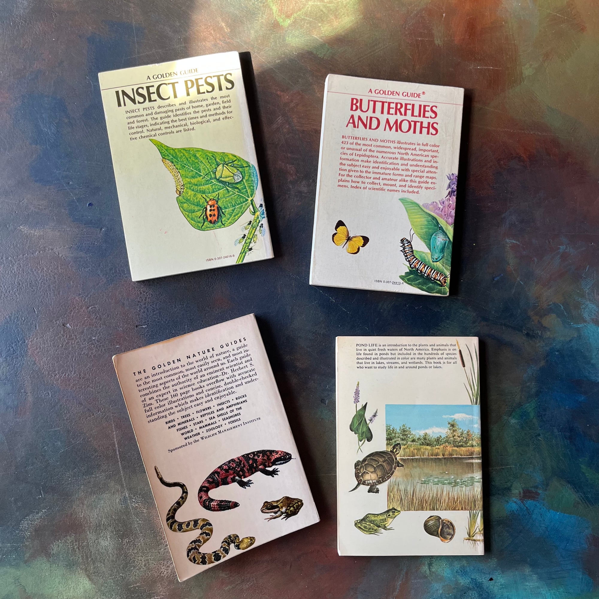 Set of four vintage Golden Guide Nature Pocket Guides Pond Life-Reptiles & Amphibians-Butterflies & Moths-Insect Pests-vintage pocket nature guides-view of the back covers