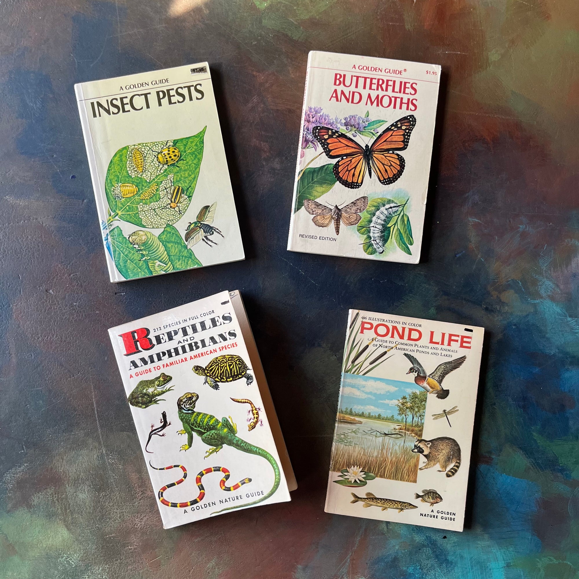 Set of four vintage Golden Guide Nature Pocket Guides Pond Life-Reptiles & Amphibians-Butterflies & Moths-Insect Pests-vintage pocket nature guides-view of the front covers