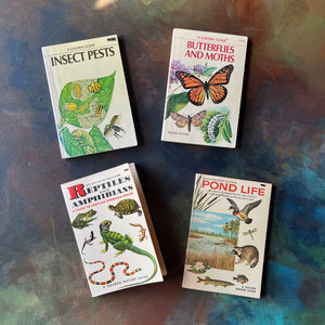 Set of four vintage Golden Guide Nature Pocket Guides Pond Life-Reptiles & Amphibians-Butterflies & Moths-Insect Pests-vintage pocket nature guides-view of the front covers
