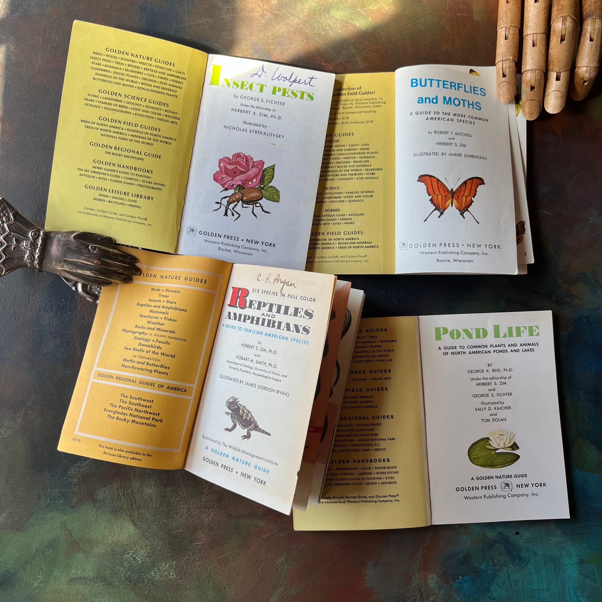 Set of four vintage Golden Guide Nature Pocket Guides Pond Life-Reptiles & Amphibians-Butterflies & Moths-Insect Pests-vintage pocket nature guides-view of the inside covers & title pages