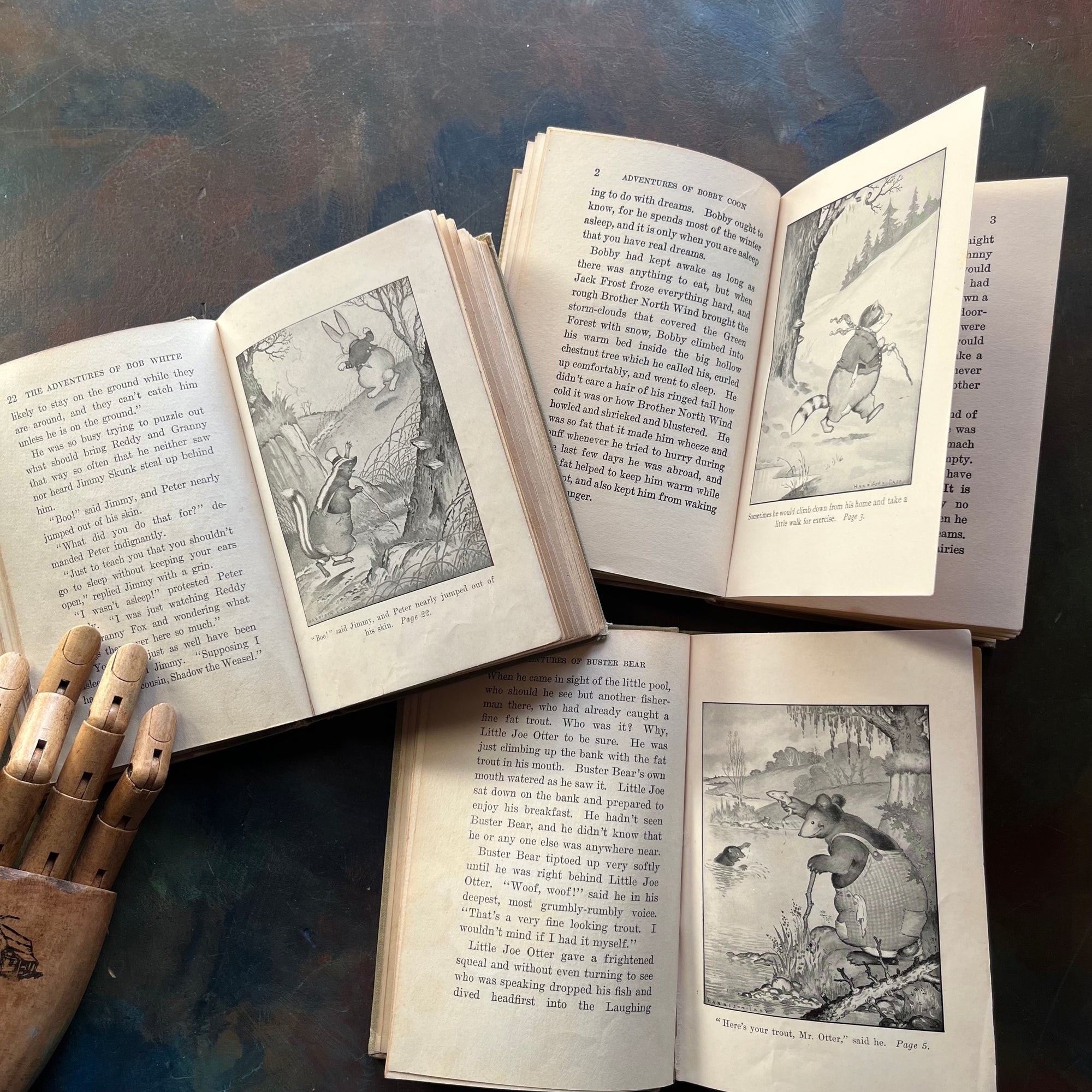 The Bedtime Story-Books written by Thornton Burgess with illustrations by Harrison Cady-The Adventures of Bob White-The Adventures of Bobby Coon, and The Adventures of Buster Bear-vintage children's stories-view of the illustrations