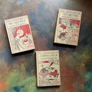 The Bedtime Story-Books written by Thornton Burgess with illustrations by Harrison Cady-The Adventures of Mr. Mocker-The Adventures of Johnny Chuck-The Adventures of Old Mr. Toad-vintage children's animal stories-read aloud favorites-view of the front covers