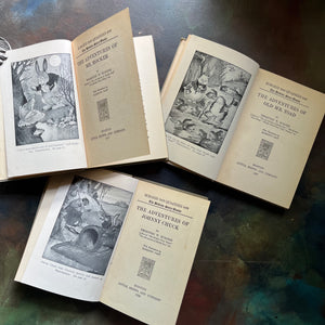 The Bedtime Story-Books written by Thornton Burgess with illustrations by Harrison Cady-The Adventures of Mr. Mocker-The Adventures of Johnny Chuck-The Adventures of Old Mr. Toad-vintage children's animal stories-read aloud favorites-view of the title pages and frontispieces