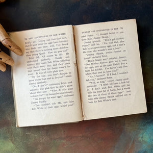 The Bedtime Story-Books written by Thornton W. Burgess-The Adventures of Bob White with illustrations by Harrison Cady-1925 Edition-vintage children's storybook-view of the condition of the inside pages - crack to the middle of the page - book is still tightly bound.