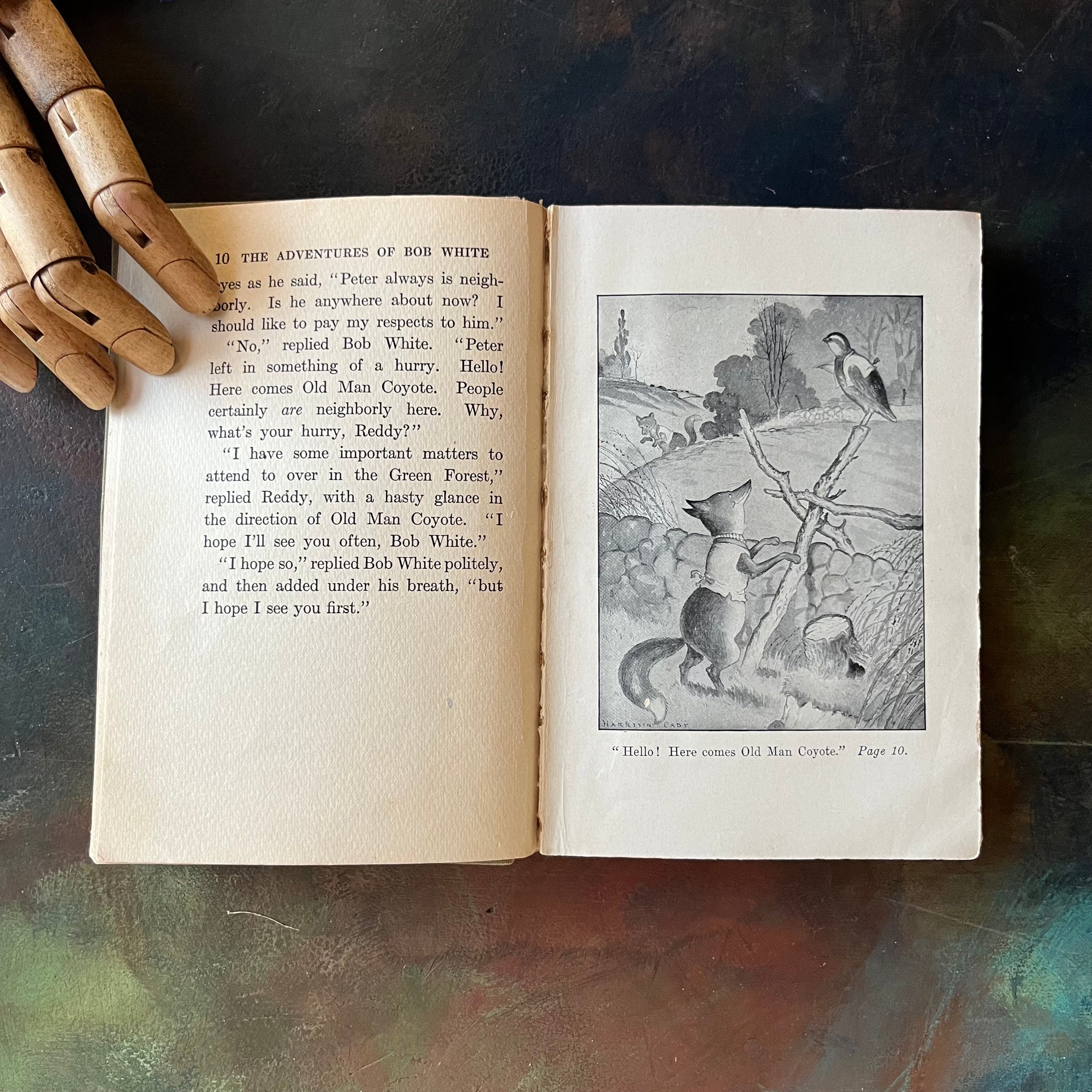 The Bedtime Story-Books written by Thornton W. Burgess-The Adventures of Bob White with illustrations by Harrison Cady-1925 Edition-vintage children's storybook-view of an illustration in black & white