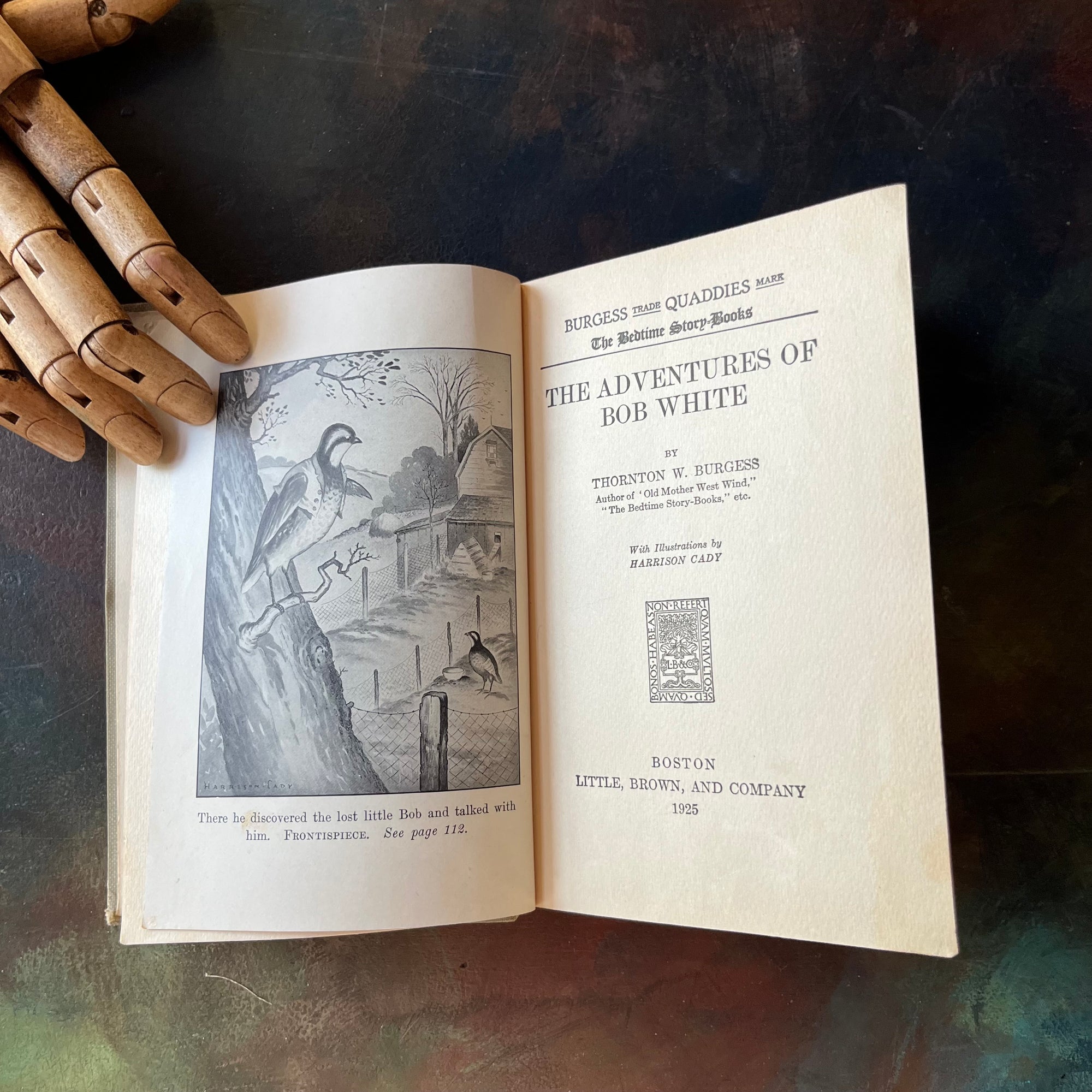 The Bedtime Story-Books written by Thornton W. Burgess-The Adventures of Bob White with illustrations by Harrison Cady-1925 Edition-vintage children's storybook-view of the frontispiece and title page