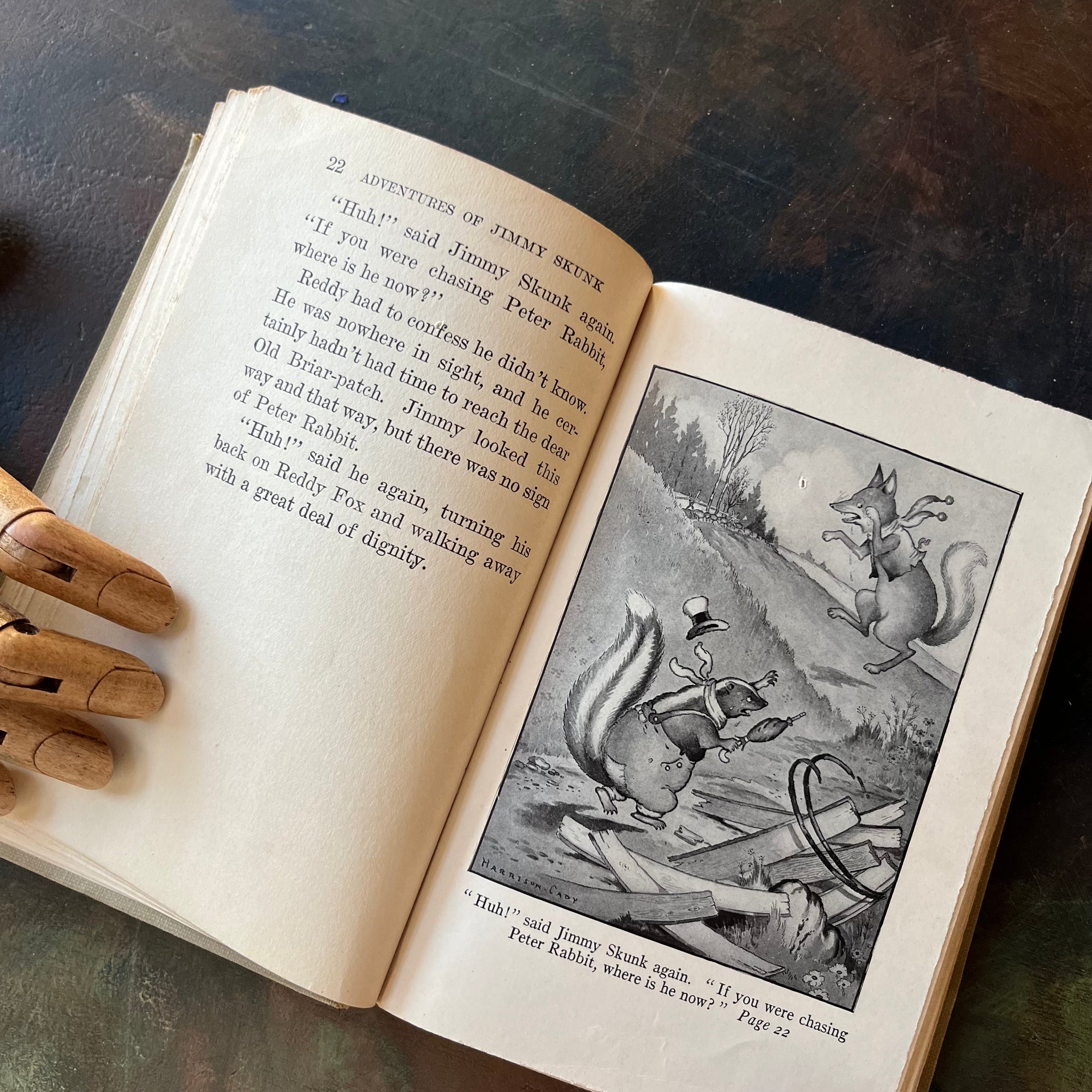 The Bedtime Story-Books written by Thornton W. Burgess-The Adventures of Jimmy Skunk with illustrations by Harrison Cady-1923 Edition-vintage children's storybooks-view of the black & white illustration