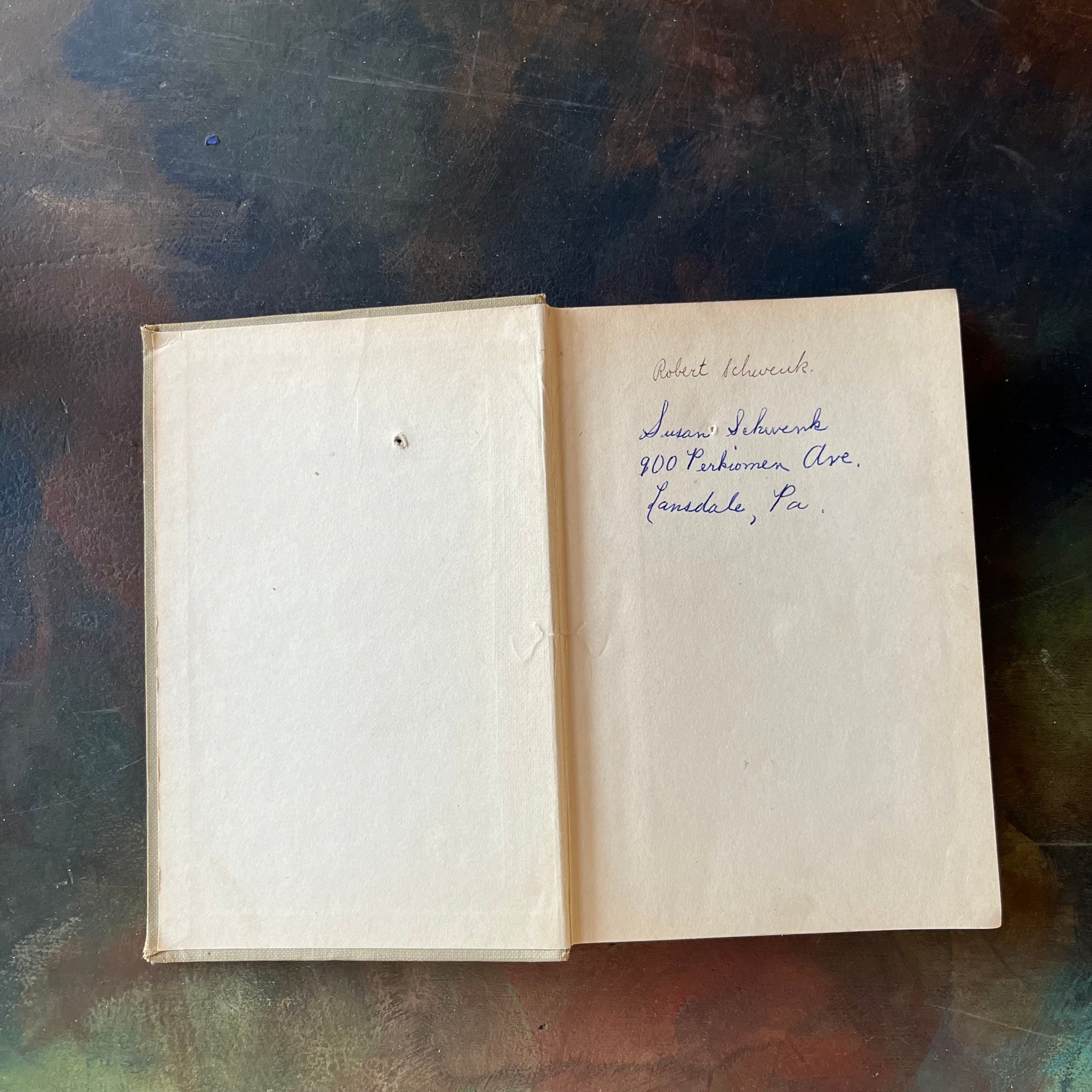 The Bedtime Story-Books written by Thornton W. Burgess-The Adventures of Jimmy Skunk with illustrations by Harrison Cady-1923 Edition-vintage children's storybooks-view of the inside cover with name & address written inside