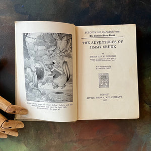 The Bedtime Story-Books written by Thornton W. Burgess-The Adventures of Jimmy Skunk with illustrations by Harrison Cady-1923 Edition-vintage children's storybooks-view of the title page & frontispiece