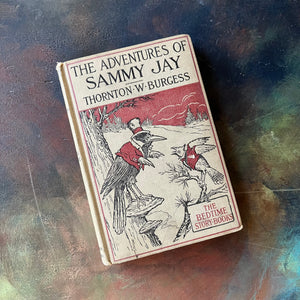 The Bedtime Story-Books written by Thornton W. Burgess-The Adventures of Sammy Jay with illustrations by Harrison Cady Illustrations-1925 edition-vintage children's storybook-view of the front cover
