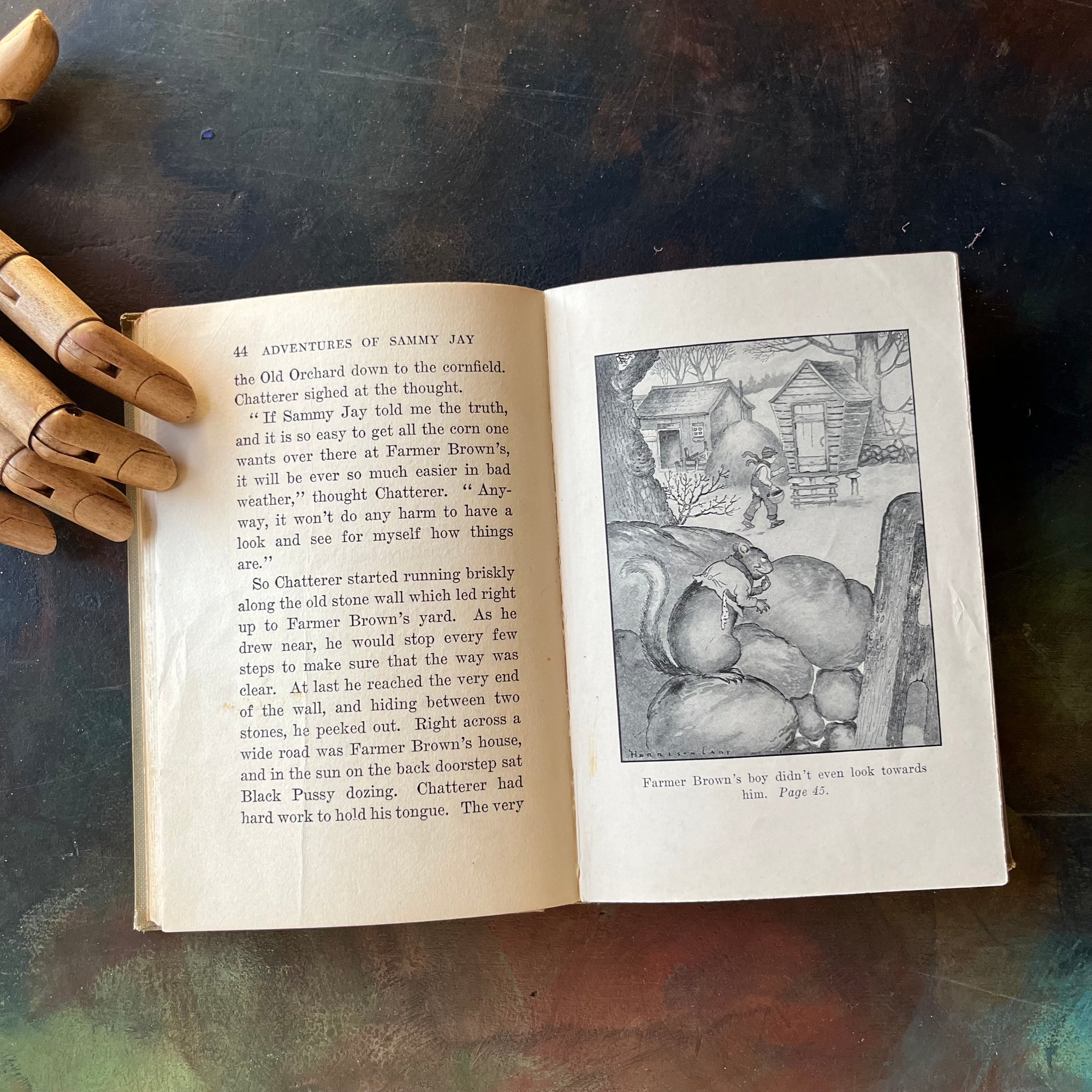 The Bedtime Story-Books written by Thornton W. Burgess-The Adventures of Sammy Jay with illustrations by Harrison Cady Illustrations-1925 edition-vintage children's storybook-view of the black & white illustration