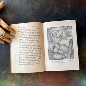 The Bedtime Story-Books written by Thornton W. Burgess-The Adventures of Sammy Jay with illustrations by Harrison Cady Illustrations-1925 edition-vintage children's storybook-view of the black & white illustration