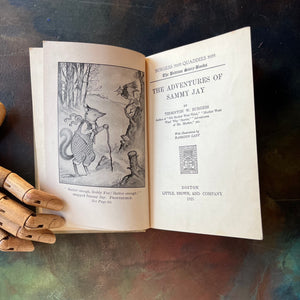 The Bedtime Story-Books written by Thornton W. Burgess-The Adventures of Sammy Jay with illustrations by Harrison Cady Illustrations-1925 edition-vintage children's storybook-view of the frontispiece & title page
