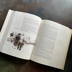 The Best of James Herriot-favorite memories of a country vet-English countryside vet stories-PBS TV Series-illustrations