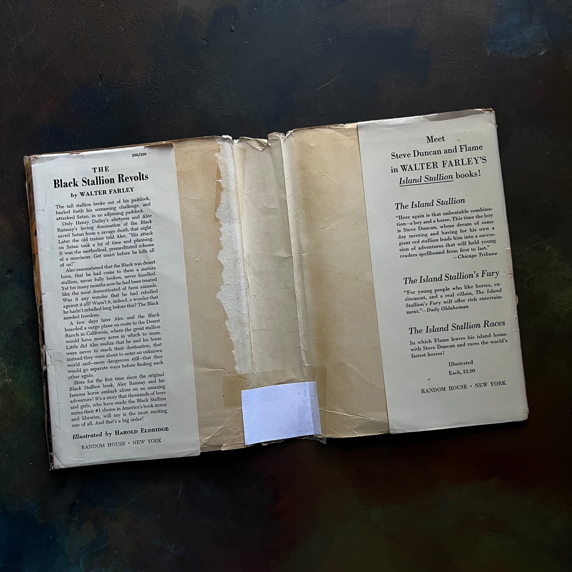 The Black Stallion Revolts by Walter Farley-vintage Black Stallion Serie Book-adventure books for children-view of the dust jacket's inside flaps