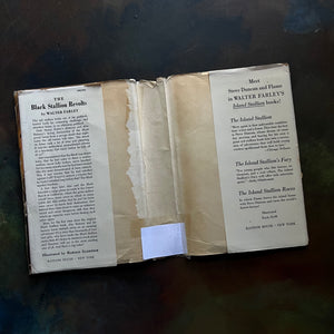 The Black Stallion Revolts by Walter Farley-vintage Black Stallion Serie Book-adventure books for children-view of the dust jacket's inside flaps