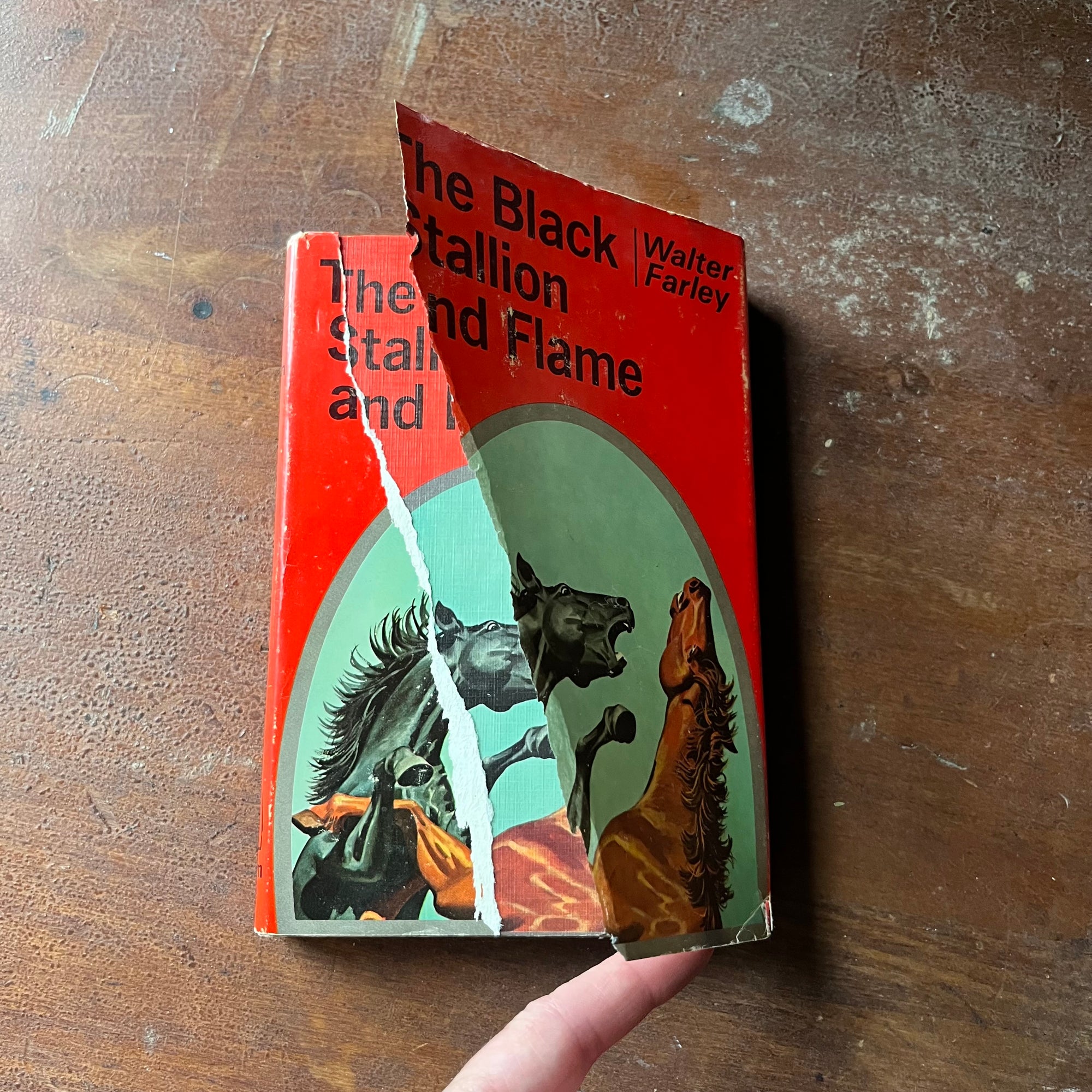 vintage children's chapter book, vintage horse book, The Black Stallion Series - The Black Stallion & Flame #15 written by Walter Farley with illustrations by Harold Eldridge - view of the condition of the dust jacket - tear down the front cover