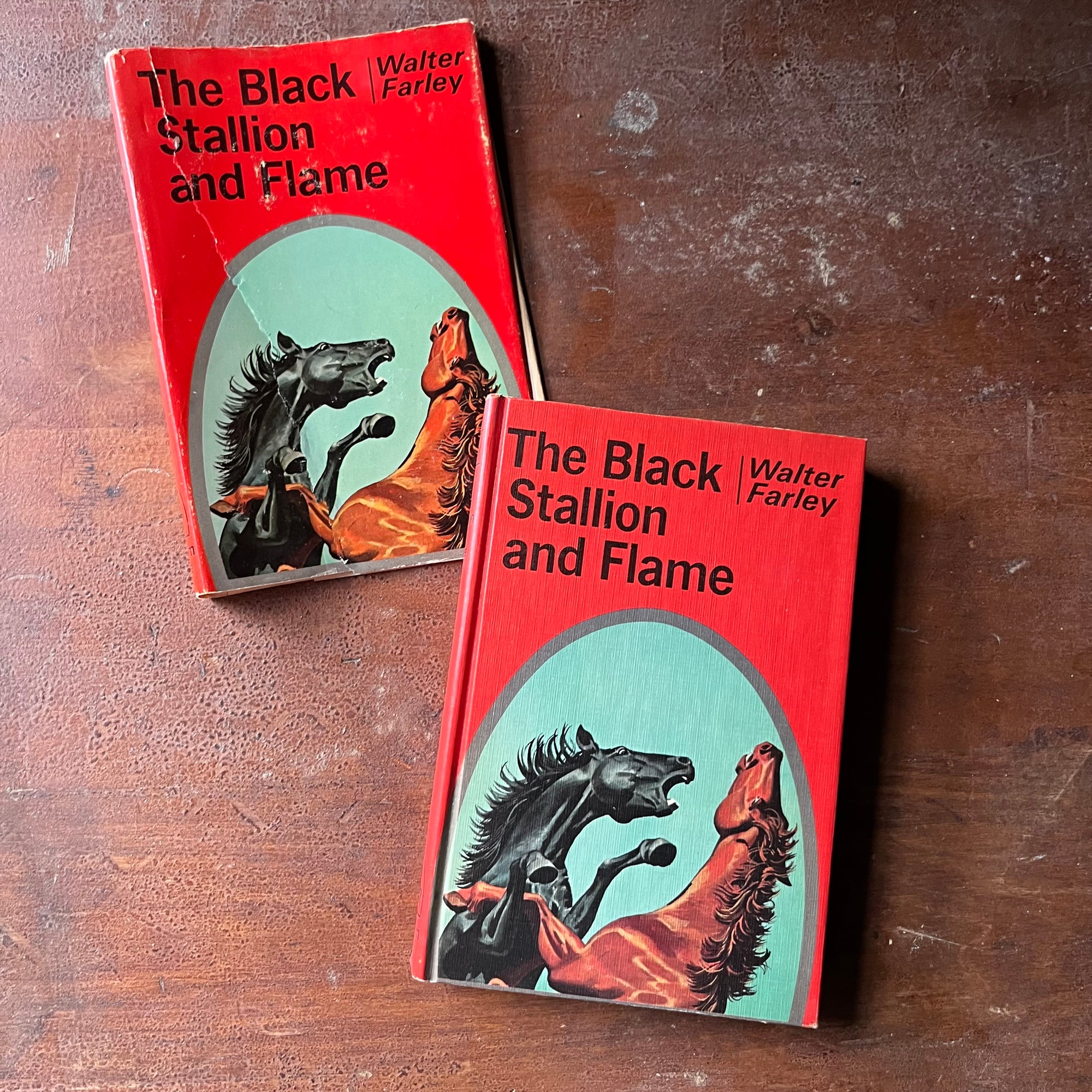 vintage children's chapter book, vintage horse book, The Black Stallion Series - The Black Stallion & Flame #15 written by Walter Farley with illustrations by Harold Eldridge - view of the front cover