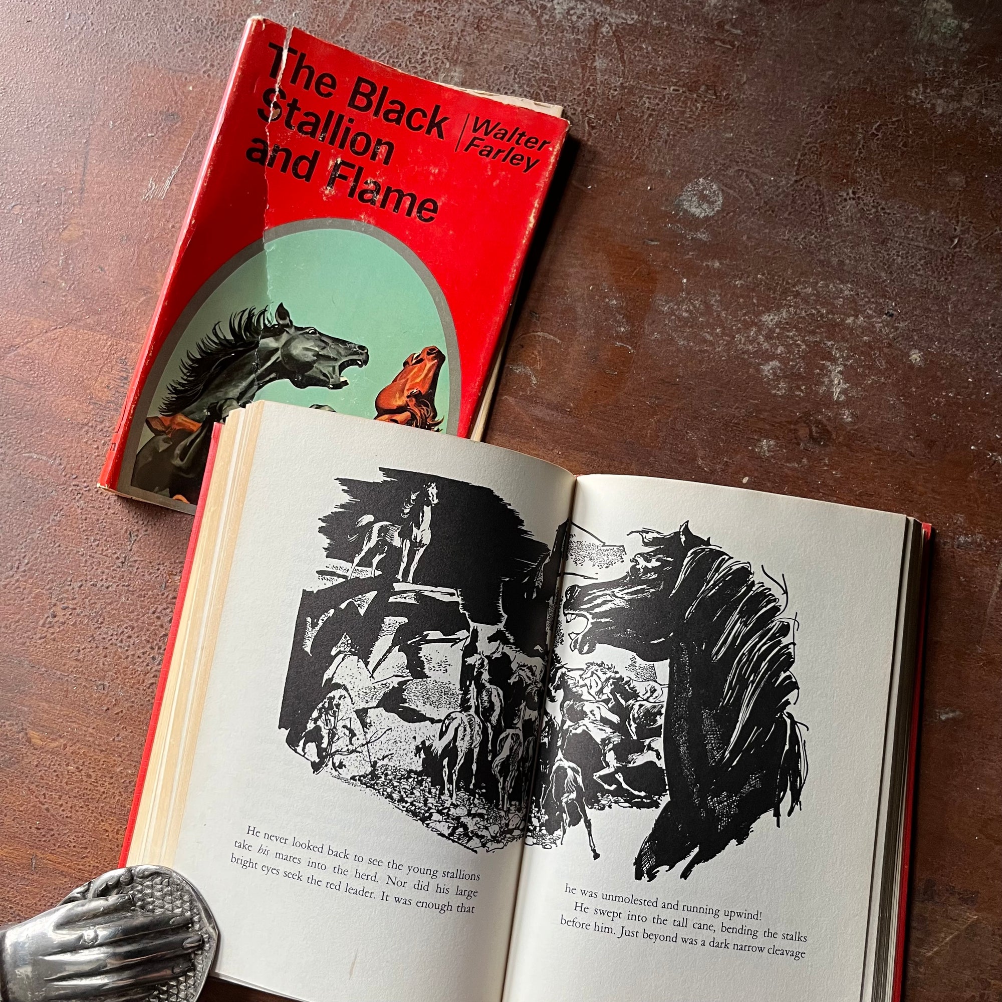 vintage children's chapter book, vintage horse book, The Black Stallion Series - The Black Stallion & Flame #15 written by Walter Farley with illustrations by Harold Eldridge - view of the illustrations