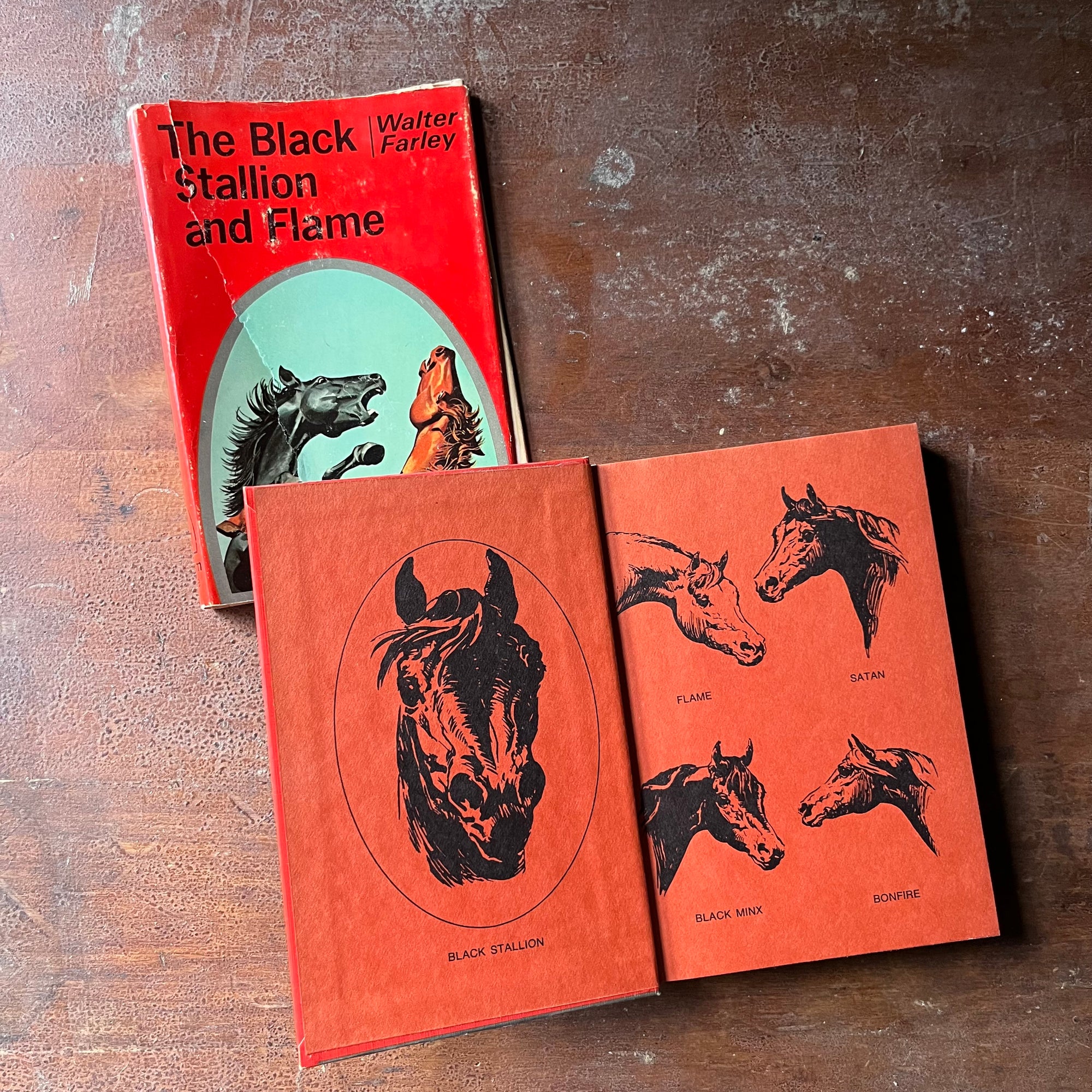 vintage children's chapter book, vintage horse book, The Black Stallion Series - The Black Stallion & Flame #15 written by Walter Farley with illustrations by Harold Eldridge - view of the inside cover