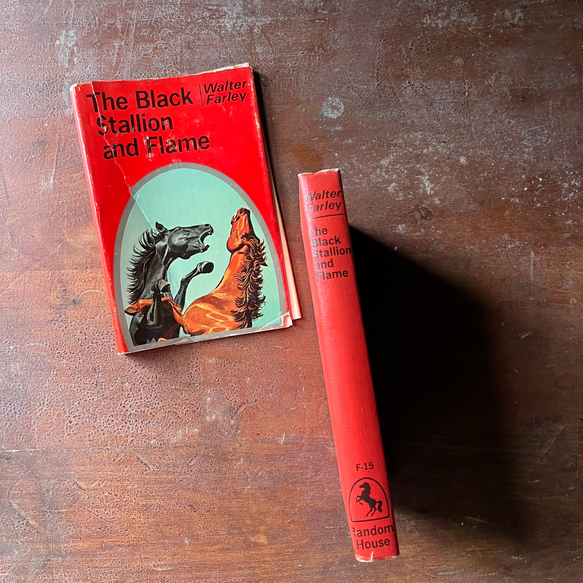 vintage children's chapter book, vintage horse book, The Black Stallion Series - The Black Stallion & Flame #15 written by Walter Farley with illustrations by Harold Eldridge - view of the spine
