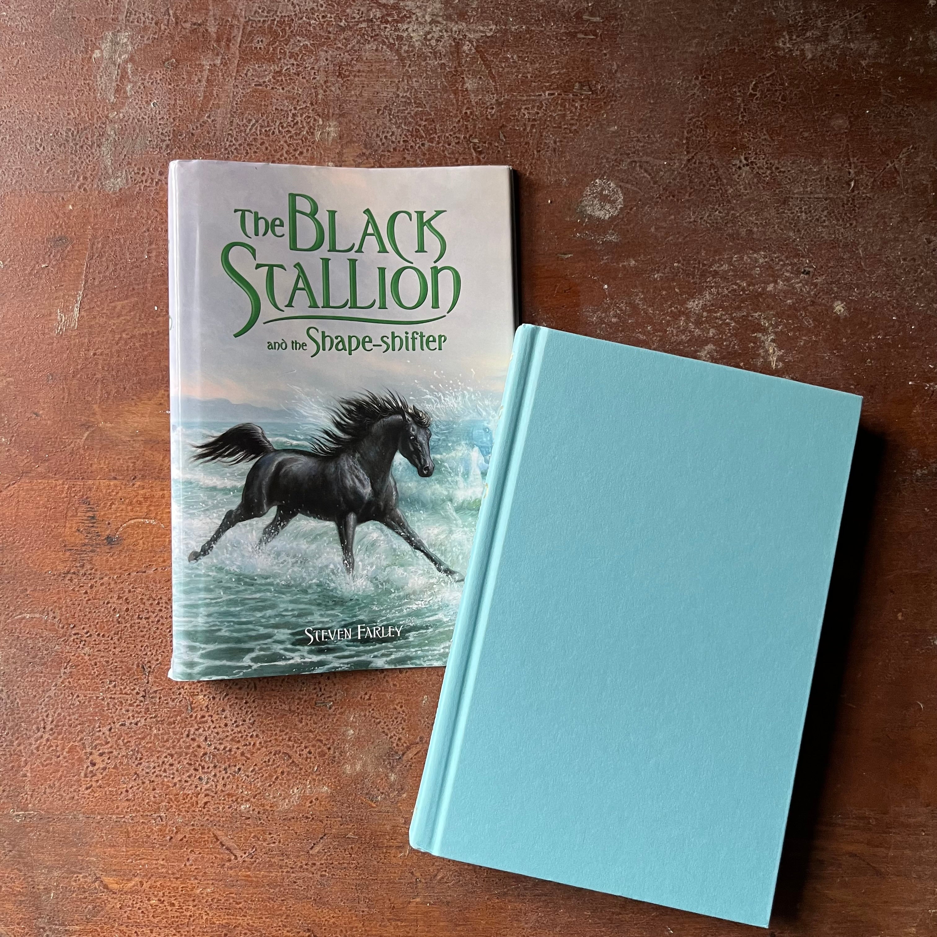 The Black Stallion Book Series, children's chapter book - The Black Stallion and the Shape Sifter by Stephen Farley (the son of Walter Farley) - view of the front cover