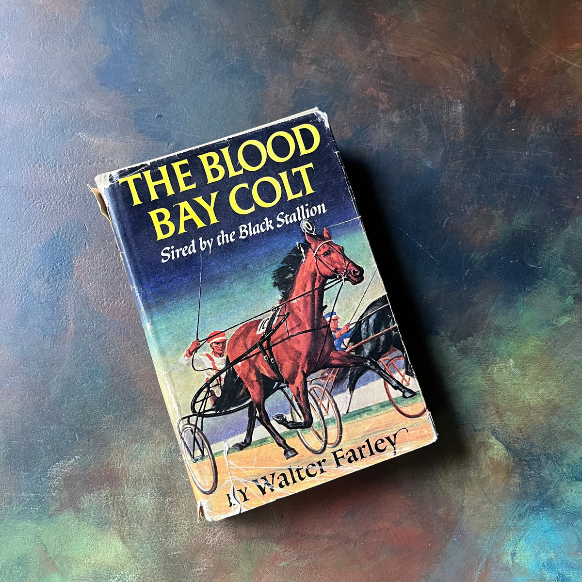 The Blood Bay Colt-Walter Farley-The Black Stallion Book Series-vintage children's fiction-children's chapter book-view of the dust jacket's front cover