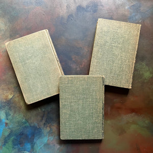 The Bobbsey Twins Book Set-In Echo Valley, In The Great West, and At London Tower-written by Laura Lee Hope-vintage children's chapter books-view of the back cvoers