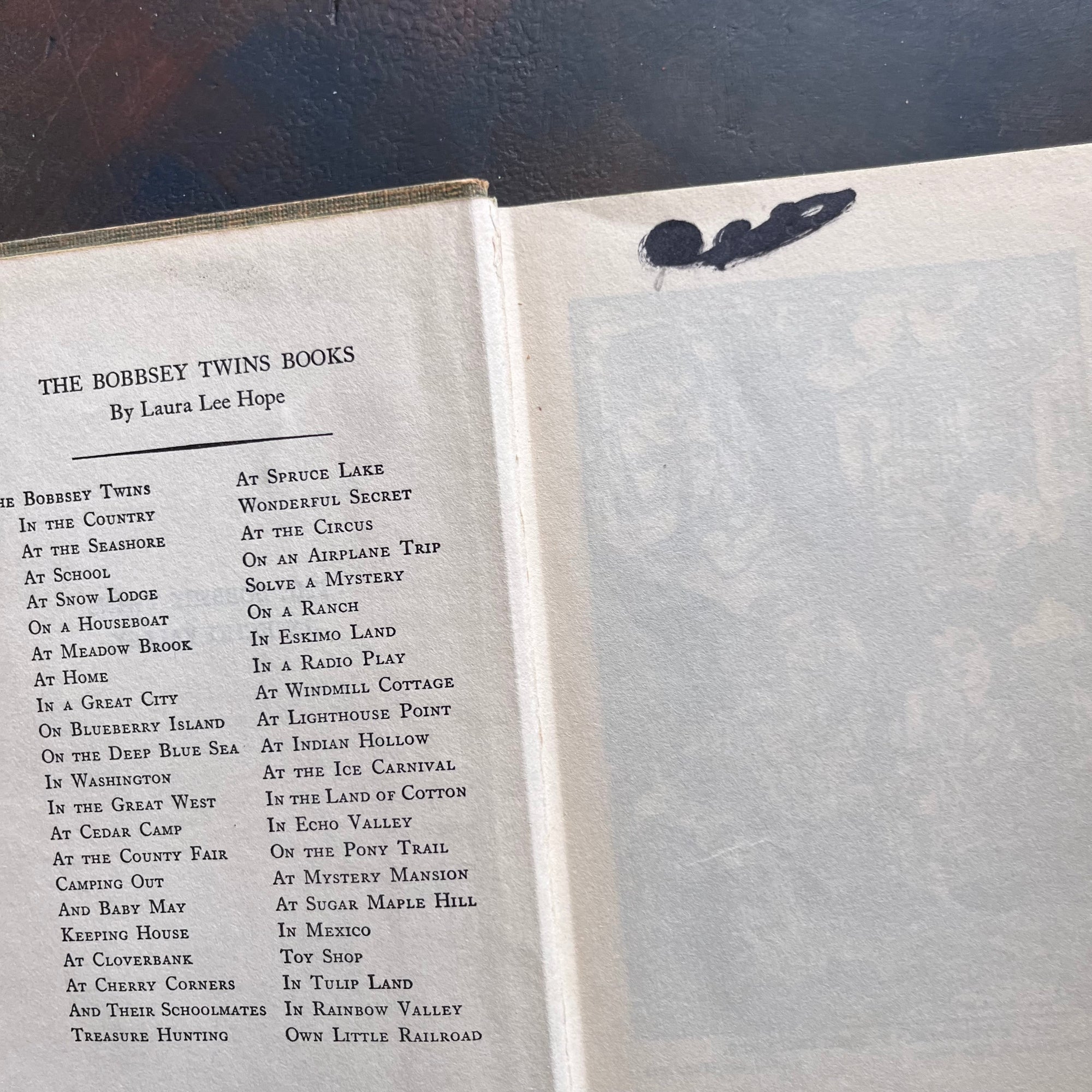 The Bobbsey Twins Book Set-In Echo Valley, In The Great West, and At London Tower-written by Laura Lee Hope-vintage children's chapter books-view of a name blacked out by marker in the beginning of In Echo Valley