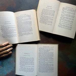 The Bobbsey Twins Book Set-In Echo Valley, In The Great West, and At London Tower-written by Laura Lee Hope-vintage children's chapter books-view of the inside content