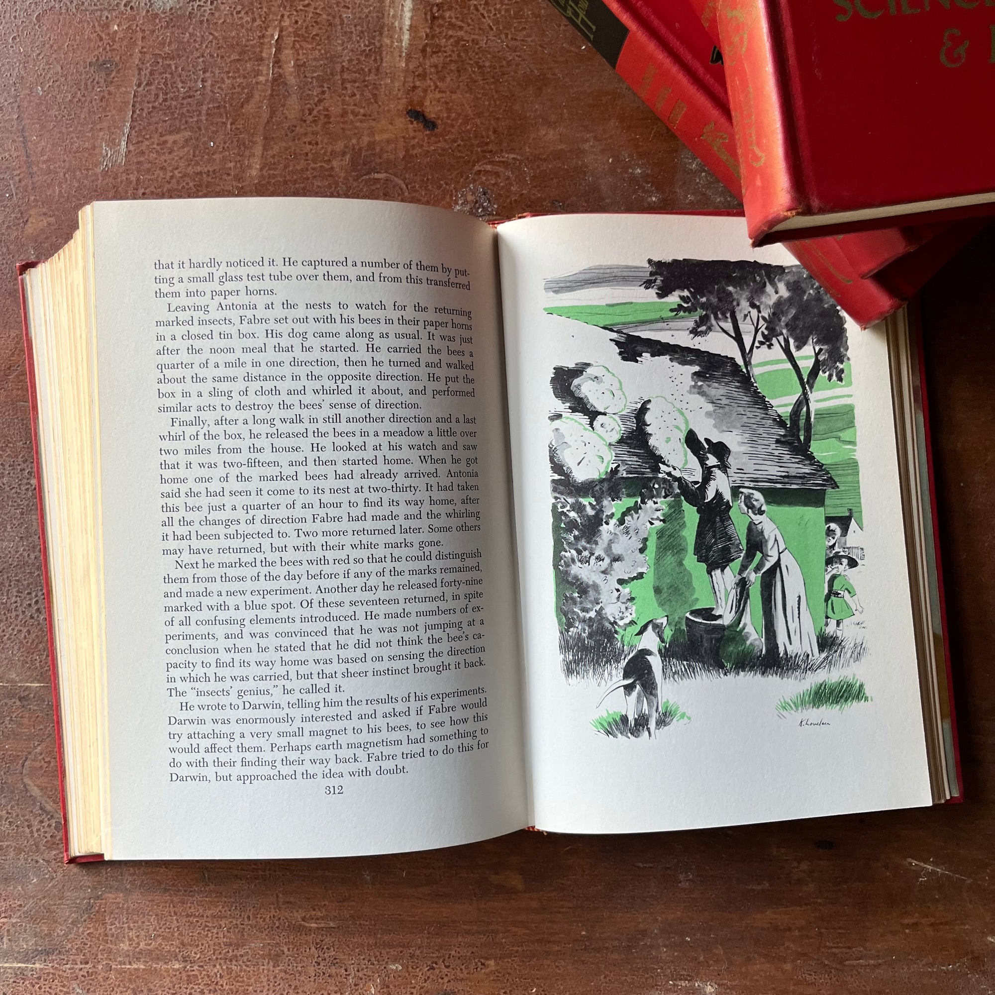vintage children's storybook set - The Children's Hour Complete 16 Volume Book Set - view of the full-page illustrations in one volume