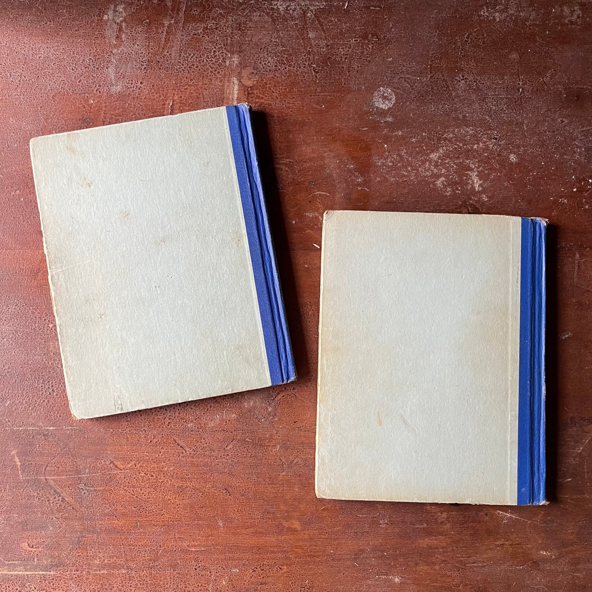 vintage non-fiction for children - The Children of All Lands Stories-The Little Indian Weaver & The Little Dutch Girl written by Madeline Brandeis - view of the back covers