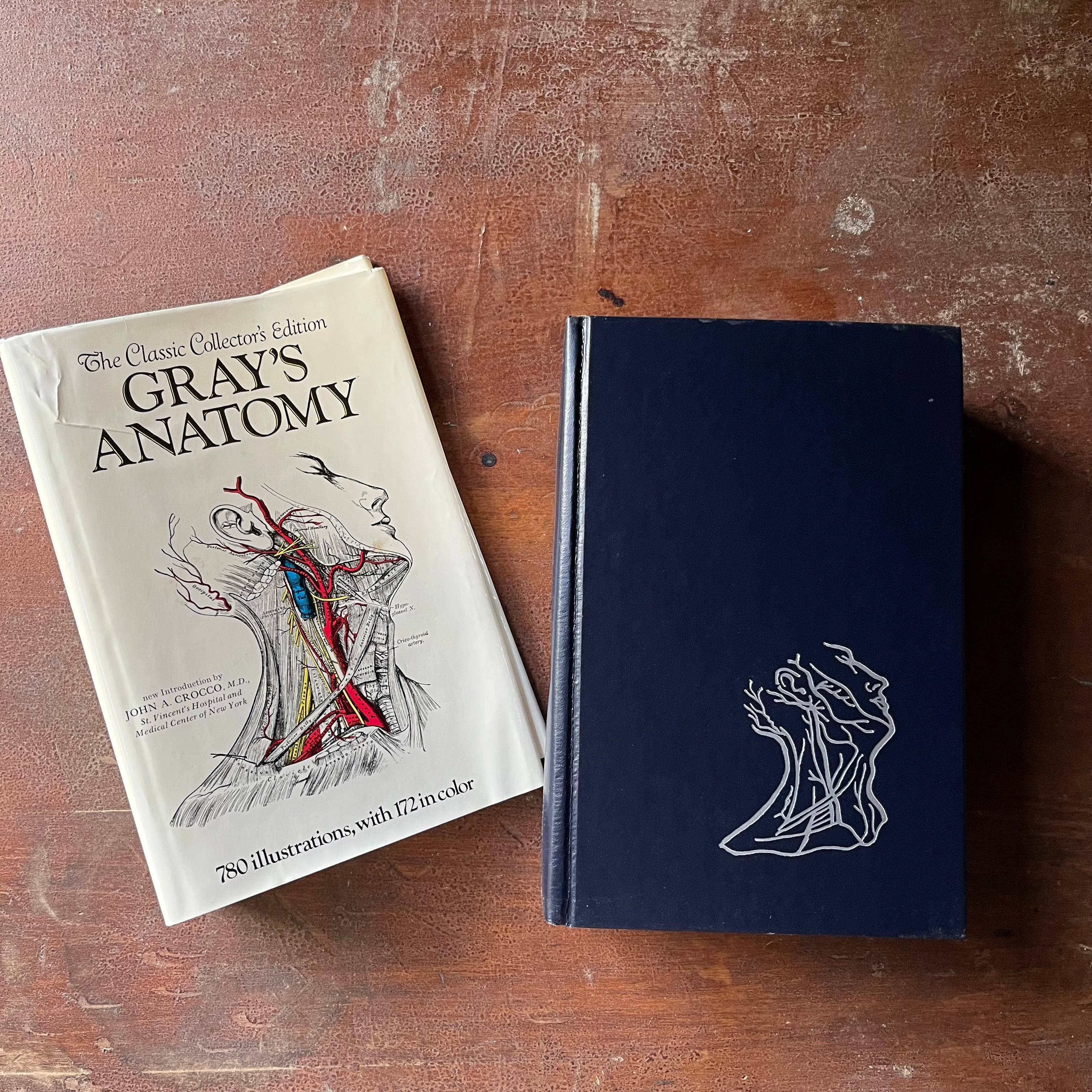 vintage medical illustration book - The Classic Collector's Edition of Gray's Anatomy by Henry Gray with 780 Illustrations - view of the embossed front cover depicting the same illustration as the dust jacket's front cover