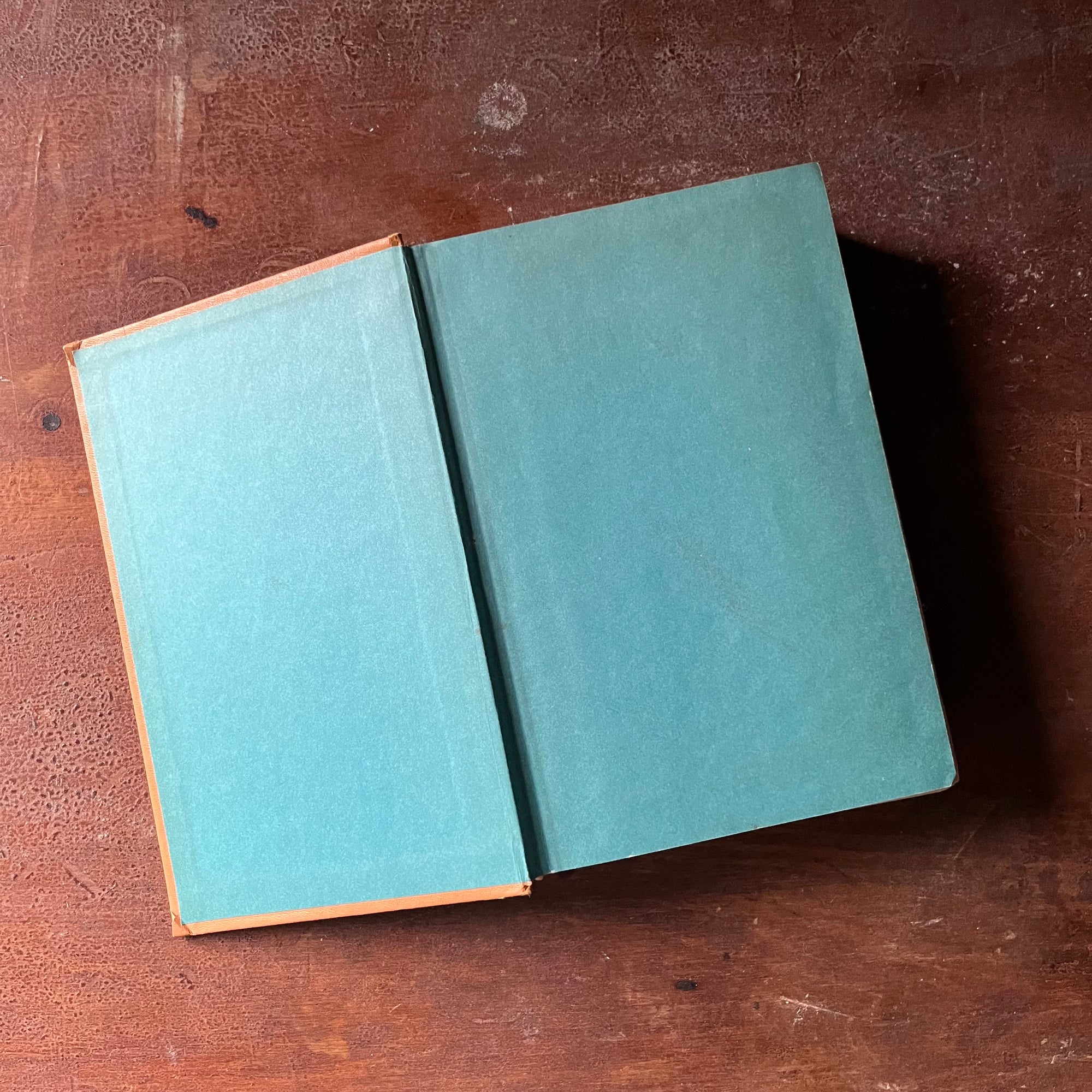 vintage children's chapter book, complete book set - The Complete Adventures of the Borrowers written by Mary Norton with illustrations by Beth & Joe Krush- view of the inside cover