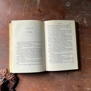 vintage children's chapter book, vintage adventure book for boys, Hardy Boys Mystery - The Crisscross Shadow #32 written by Franklin W. Dixon - view of the content