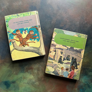 The Developmental Reading Series Book Set published by Lyons and Carnahan-Down Our Way-Stories from Everywhere-vintage school readers - view of the back covers