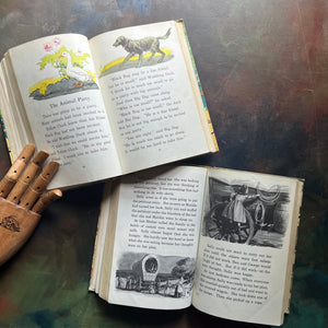 The Developmental Reading Series Book Set published by Lyons and Carnahan-Down Our Way-Stories from Everywhere-vintage school readers - view of the llustrations