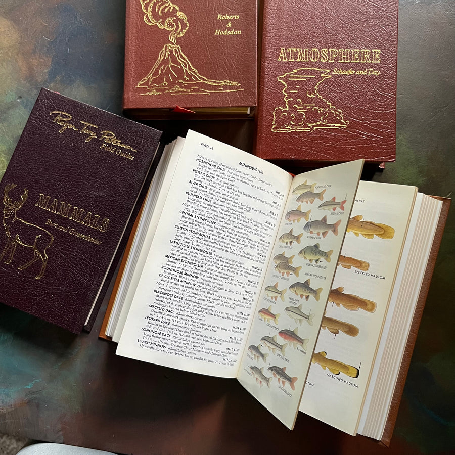 The 50th Anniversary Editions of Peterson Field Guides Set of 4 Publis ...